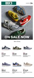 Dick's Sporting Goods Weekly Ad week 29 Page 1
