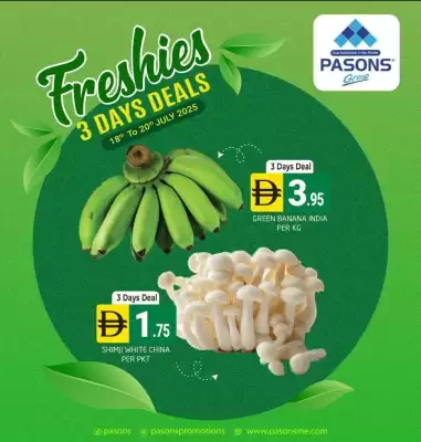 Pasons catalogue (valid until 20-07)