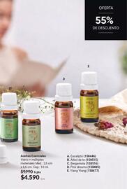 Catálogo Avon Página 10