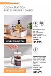 Catálogo Avon Página 43