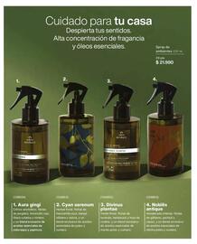 Catálogo Natura Página 17