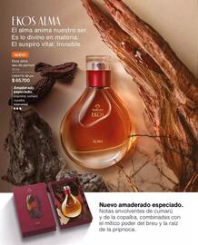 Catálogo Natura Página 28