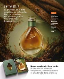 Catálogo Natura Página 29