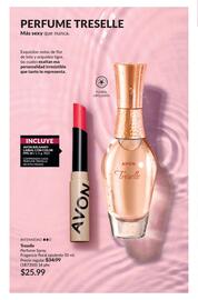 Catálogo AVON Página 102