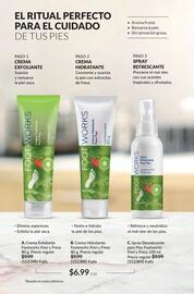 Catálogo AVON Página 168