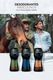 Catálogo AVON Página 178
