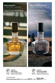 Catálogo AVON Página 92