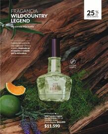 Catálogo Avon Página 66