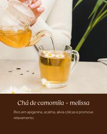 Catálogo Festval Página 3