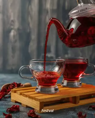 Catálogo Festval