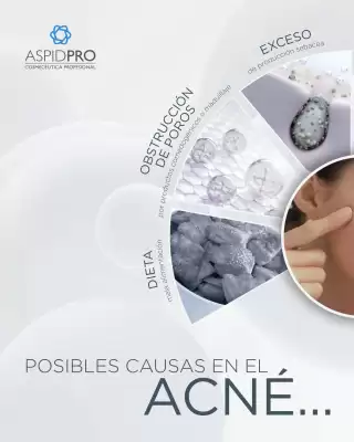 Catálogo AspidPro (válido hasta 31-07)