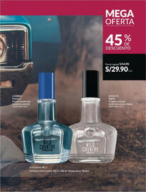 Catálogo Avon Página 234