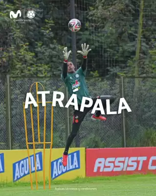 Catálogo Movistar