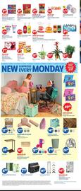 Lidl Weekly Ad week 29 Page 3