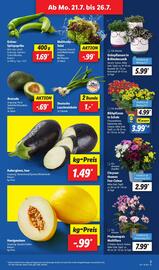 Lidl Prospekt woche 31 Seite 3