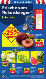Lidl Prospekt woche 31 Seite 54