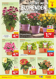 Netto Marken-Discount DE folder week 30 Pagina 13