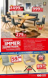 Segmüller Prospekt Seite 13