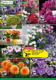 Hagebau Prospekt woche 29 Seite 6