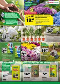 Hagebau Prospekt woche 29 Seite 7