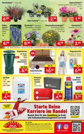 Zimmermann Prospekt woche 30 Seite 10