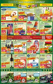 Norma Prospekt woche 31 Seite 11