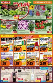 Norma Prospekt woche 31 Seite 12