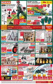 Norma Prospekt woche 31 Seite 3