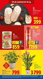 Lidl akciós újság hét 30 Oldal 47