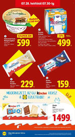 Lidl akciós újság hét 30 Oldal 50