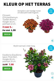 Intratuin folder week 30 Pagina 3