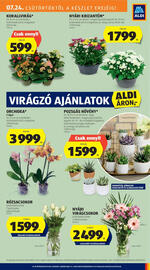 ALDI akciós újság hét 30 Oldal 9