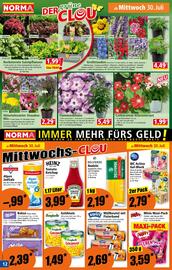 Norma Flugblatt woche 31 Seite 12