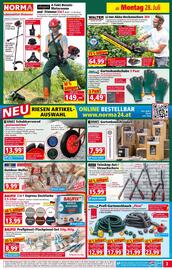 Norma Flugblatt woche 31 Seite 3