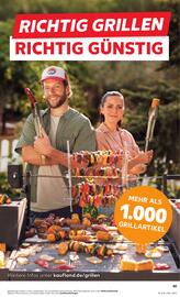 Kaufland Prospekt woche 30 Seite 49