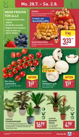 Aldi Nord Prospekt woche 31 Seite 3