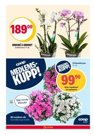 Coop Extra Kundeavis uke 30 Side 26