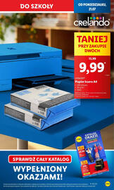 Lidl gazetka Strona 13