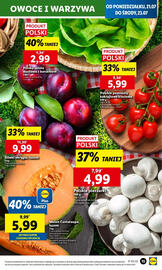 Lidl gazetka Strona 19
