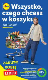 Lidl gazetka Strona 3
