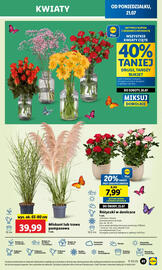 Lidl gazetka Strona 51