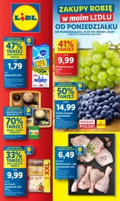 Lidl gazetka