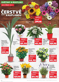 Kaufland leták týden 30 Strana 10