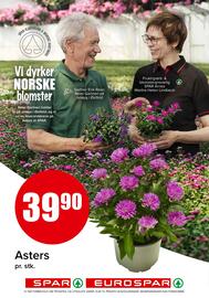 Spar Kundeavis uke 30 Side 14