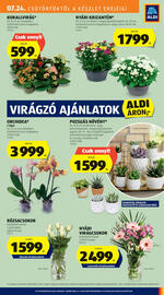 ALDI akciós újság hét 30 Oldal 27