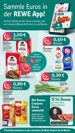 REWE Prospekt woche 30 Seite 2