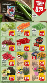 REWE Prospekt woche 30 Seite 7