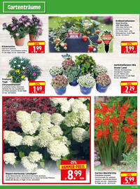 Edeka Herkules Prospekt woche 30 Seite 2