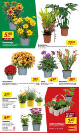 toom Baumarkt Prospekt woche 30 Seite 4