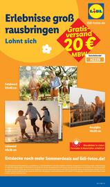 Lidl Prospekt woche 31 Seite 65